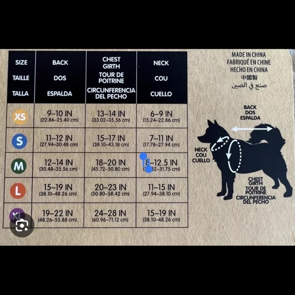 Disney Haunted Mansion Hatbox Ghost Pet Costume & Toy-Disney Tails Halloween NEW - Picture 7 of 10